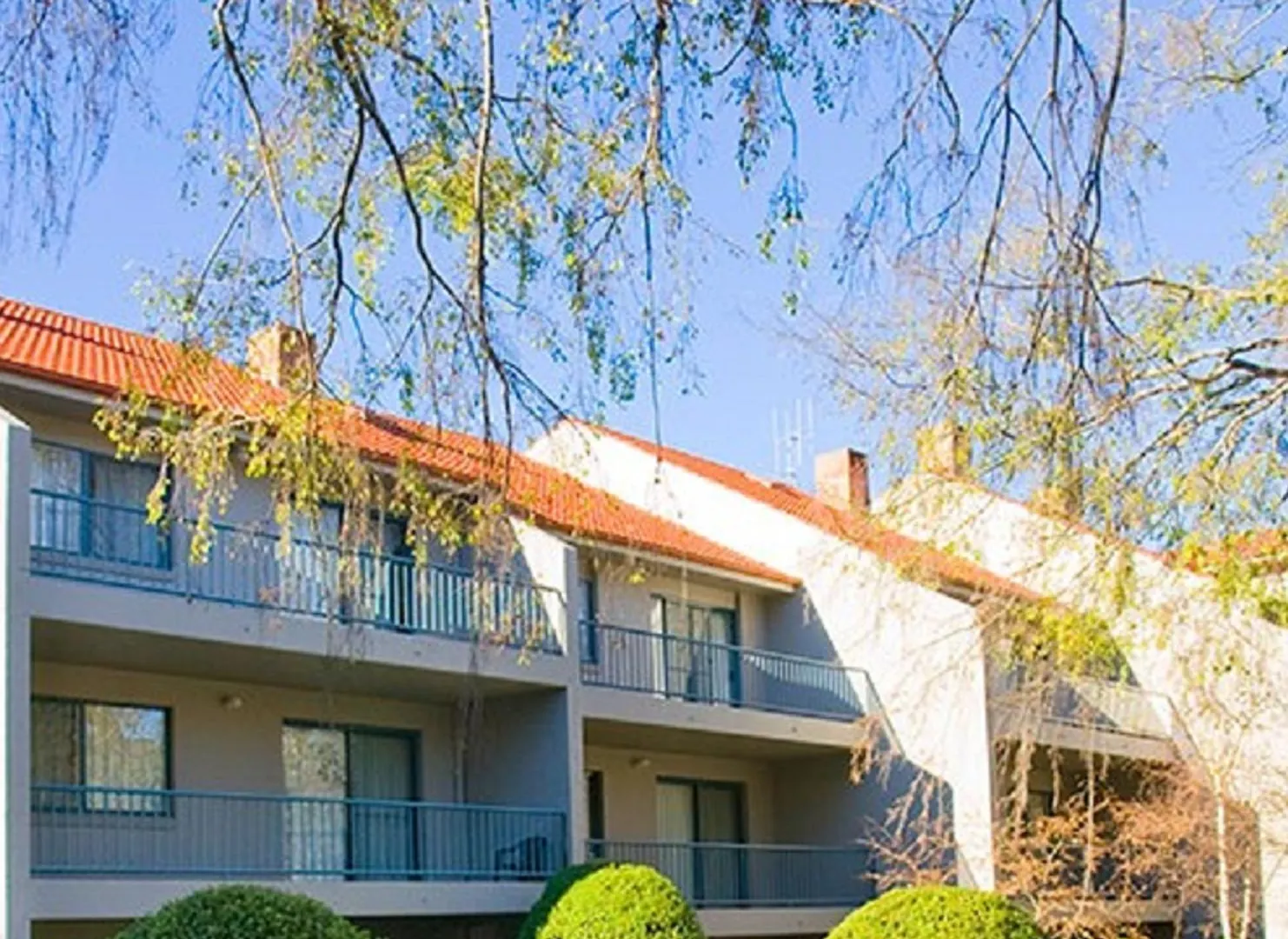 קנברה Pinnacle Apartments מלון דירות